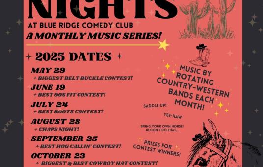 Honky Tonk Nights (Vaden Landers)